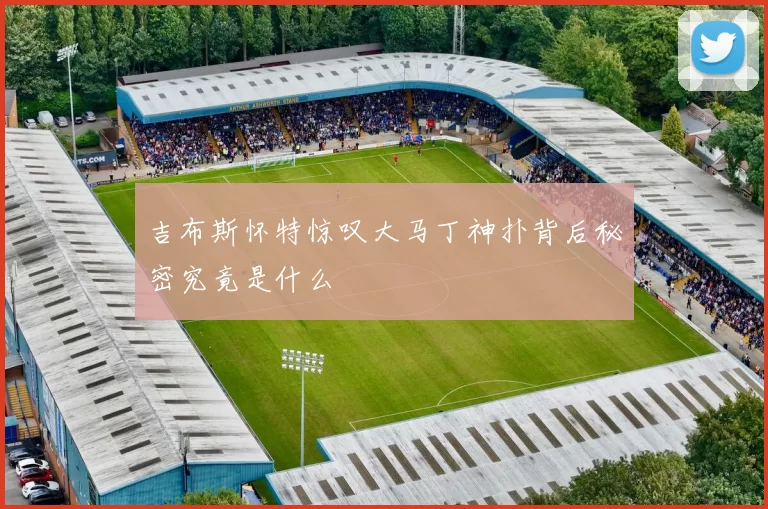 吉布斯怀特惊叹大马丁神扑背后秘密究竟是什么