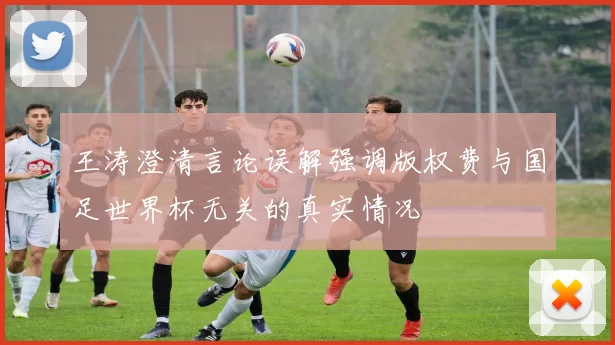 王涛澄清言论误解强调版权费与国足世界杯无关的真实情况